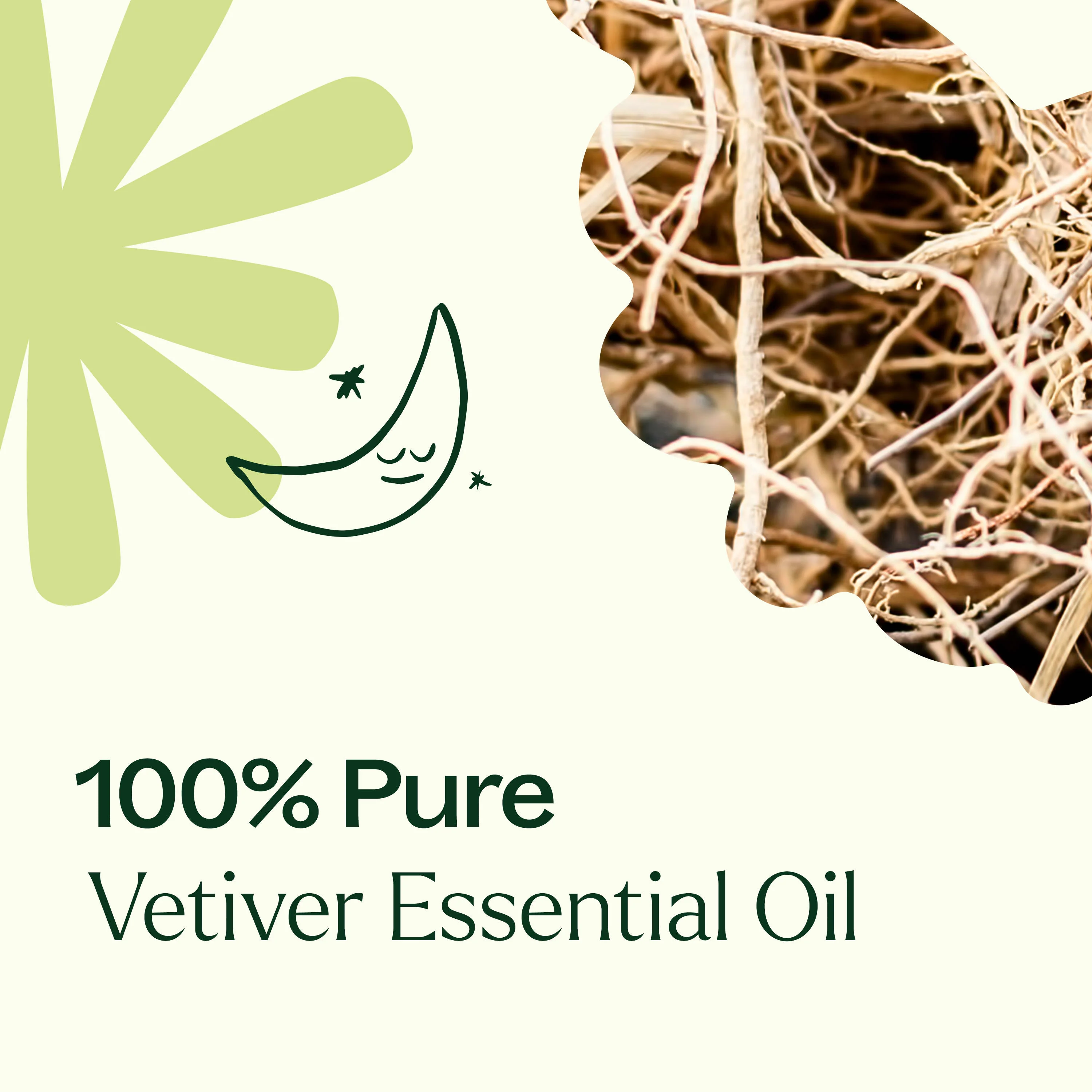 Vetiver Essential Oil - Image 4