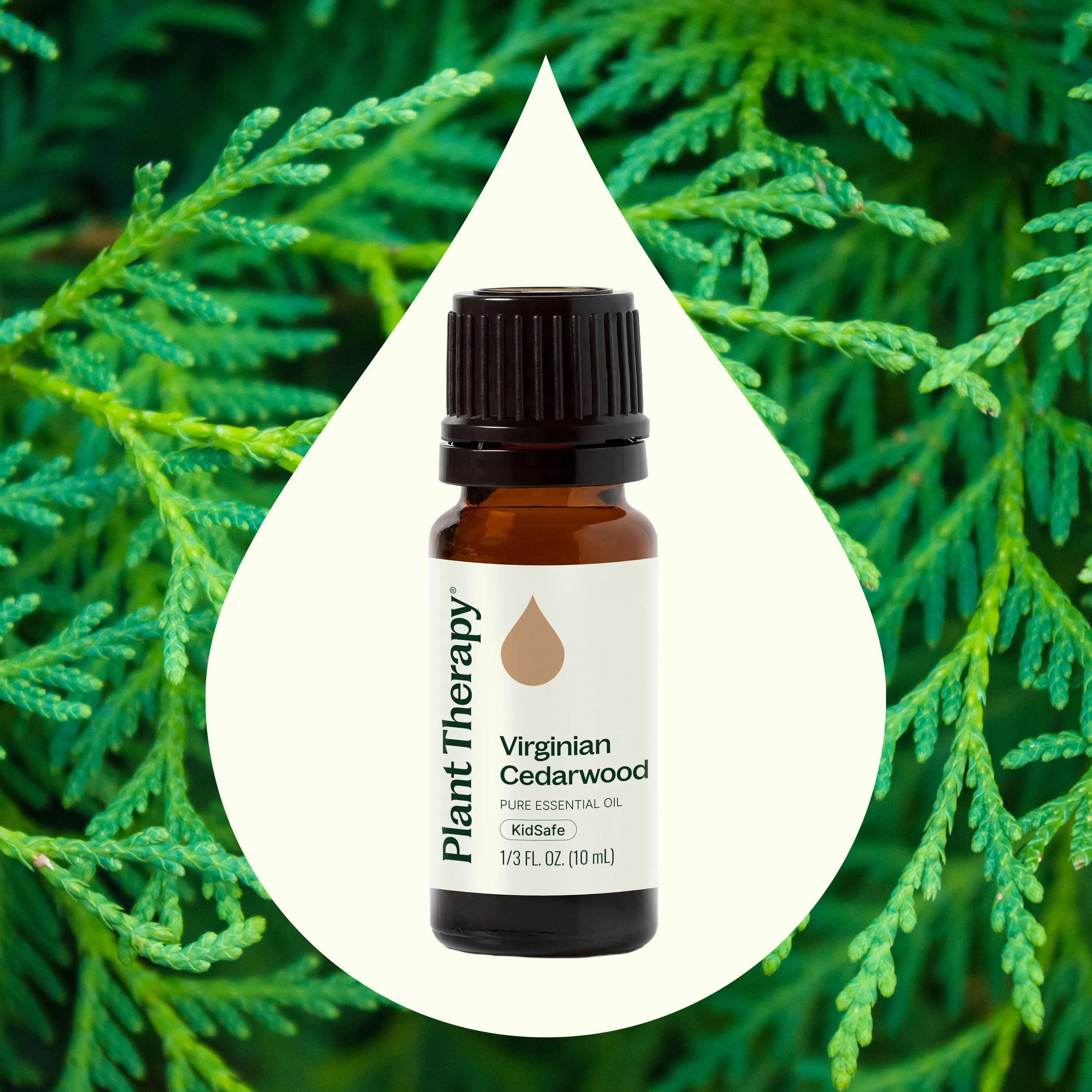 Virginian Cedarwood Essential Oil - Image 2
