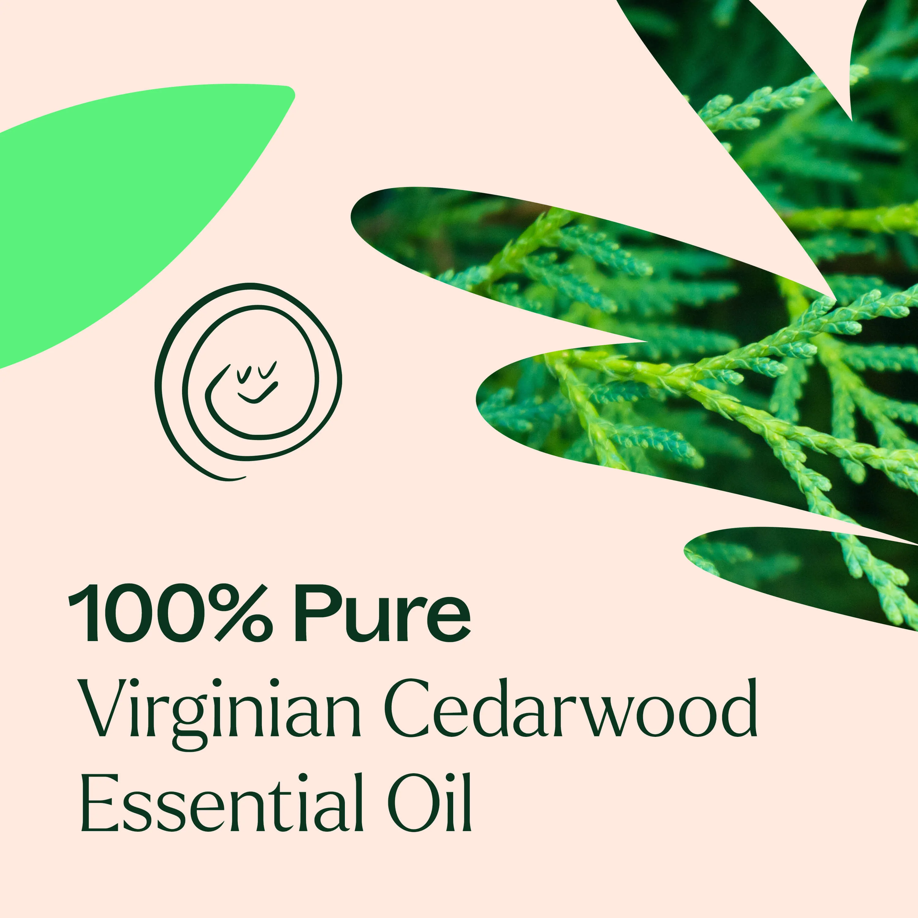 Virginian Cedarwood Essential Oil - Image 5