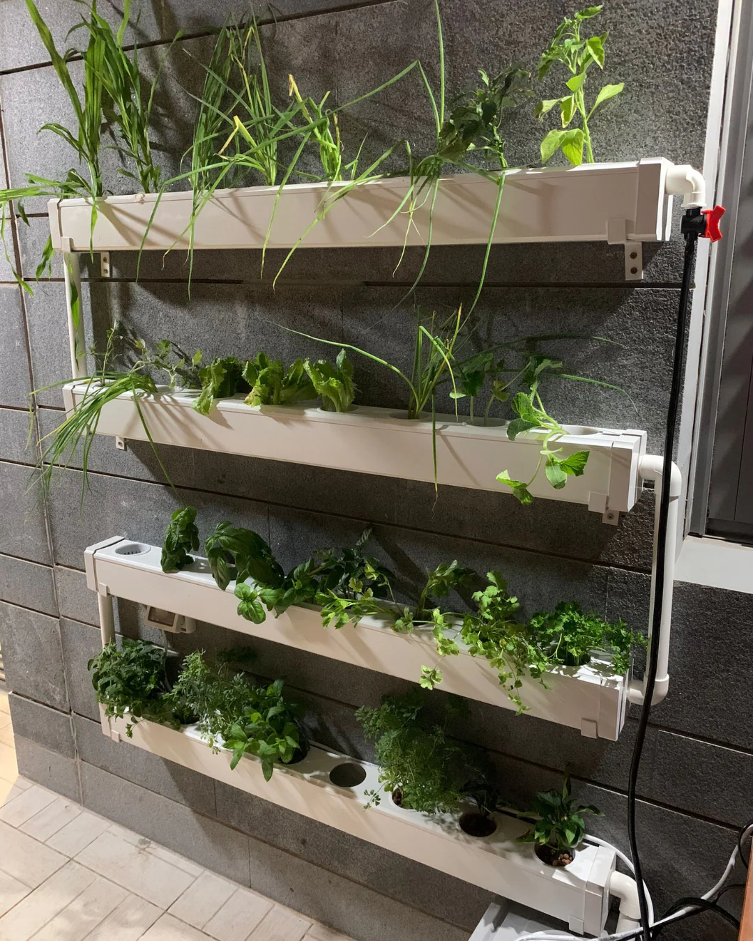 Wally 32 – Fixed Wall Hydroponic Gardening System - Image 10