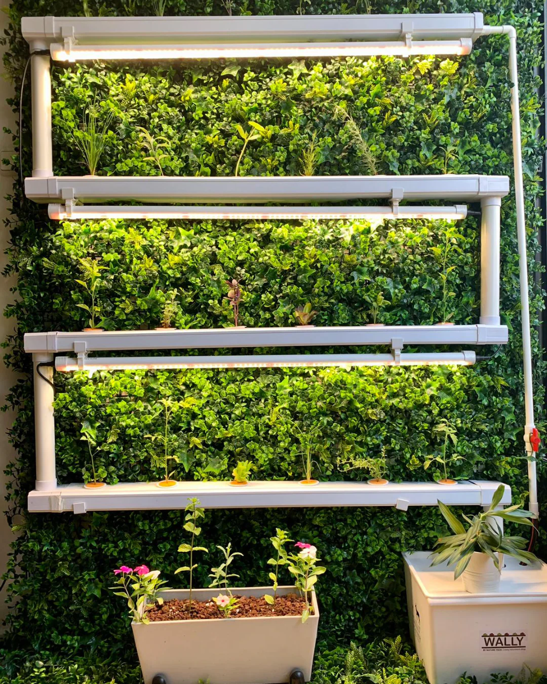 Wally 32 – Fixed Wall Hydroponic Gardening System - Image 3