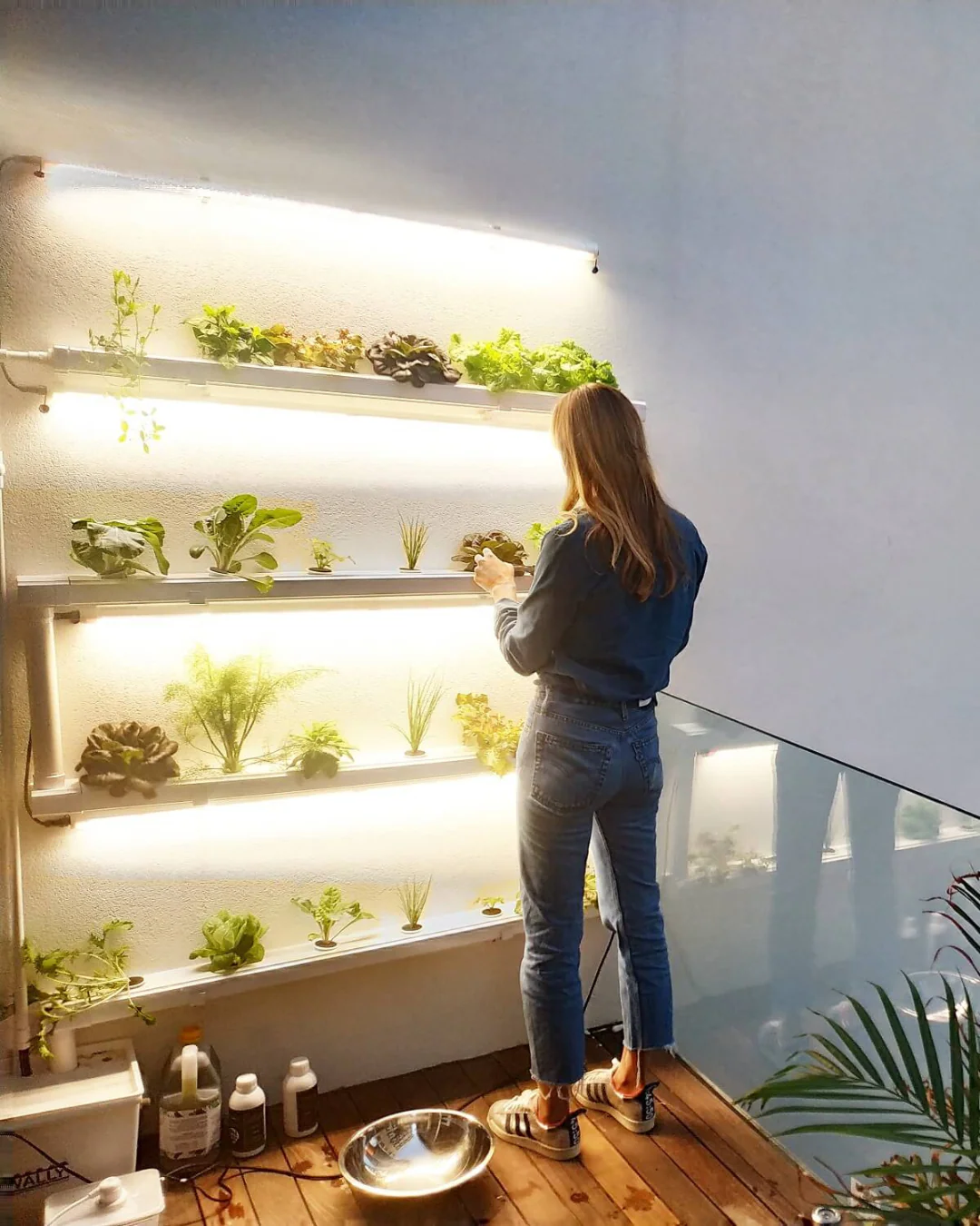 Wally 32 – Fixed Wall Hydroponic Gardening System - Image 6