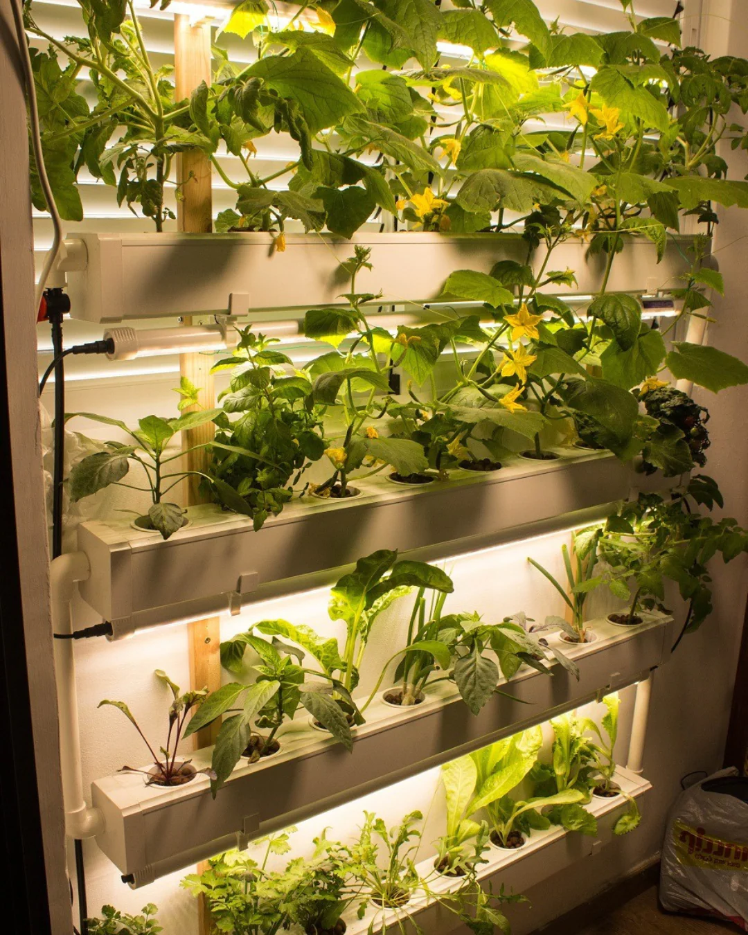 Wally 32 – Fixed Wall Hydroponic Gardening System - Image 7