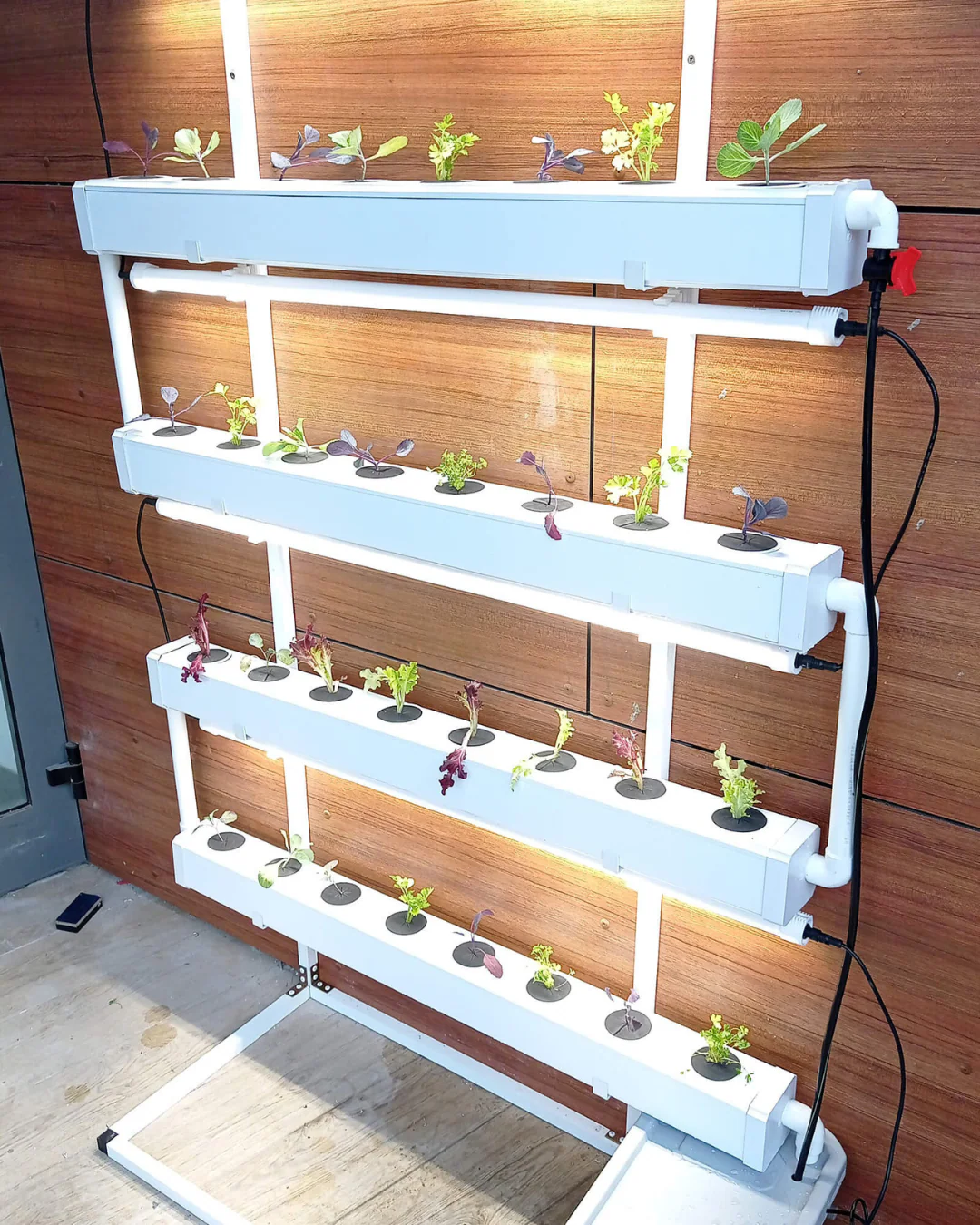 Wally 32 – Fixed Wall Hydroponic Gardening System - Image 9