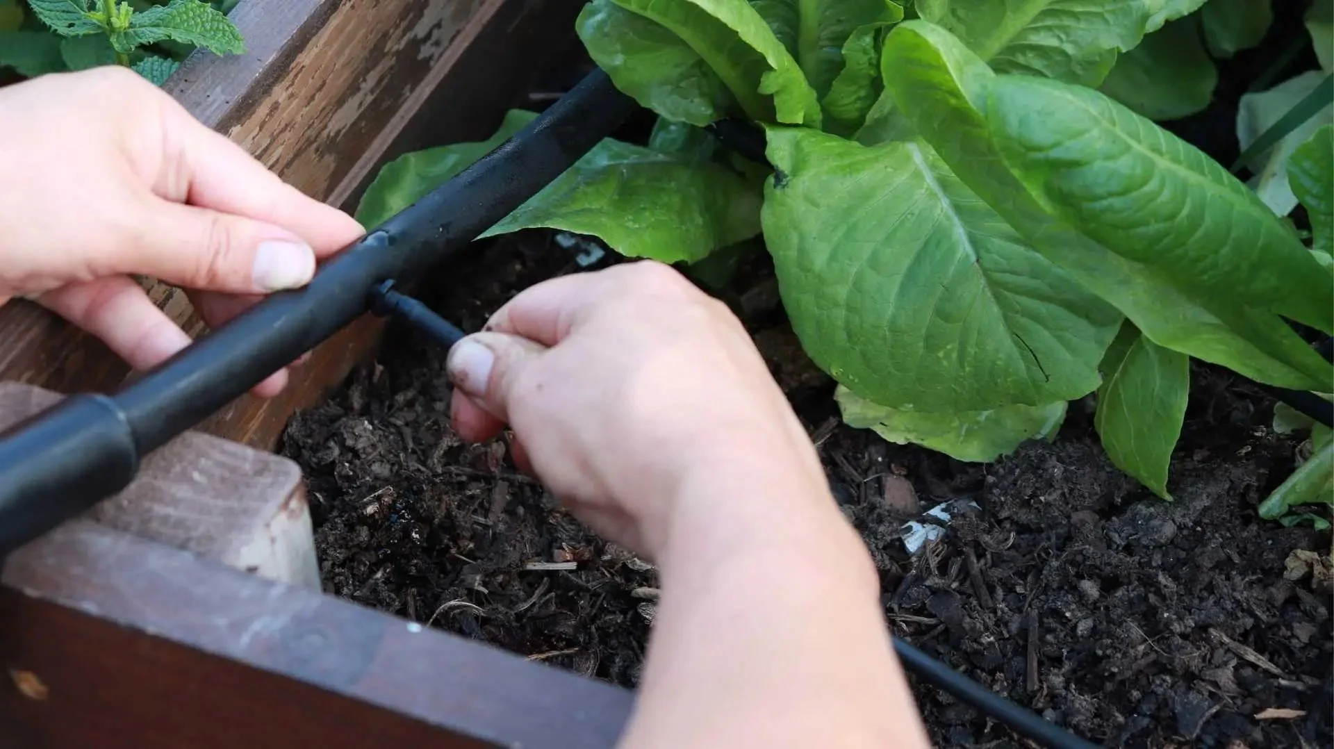 Watering - Raised Bed Drip Irrigation Kit - Image 2