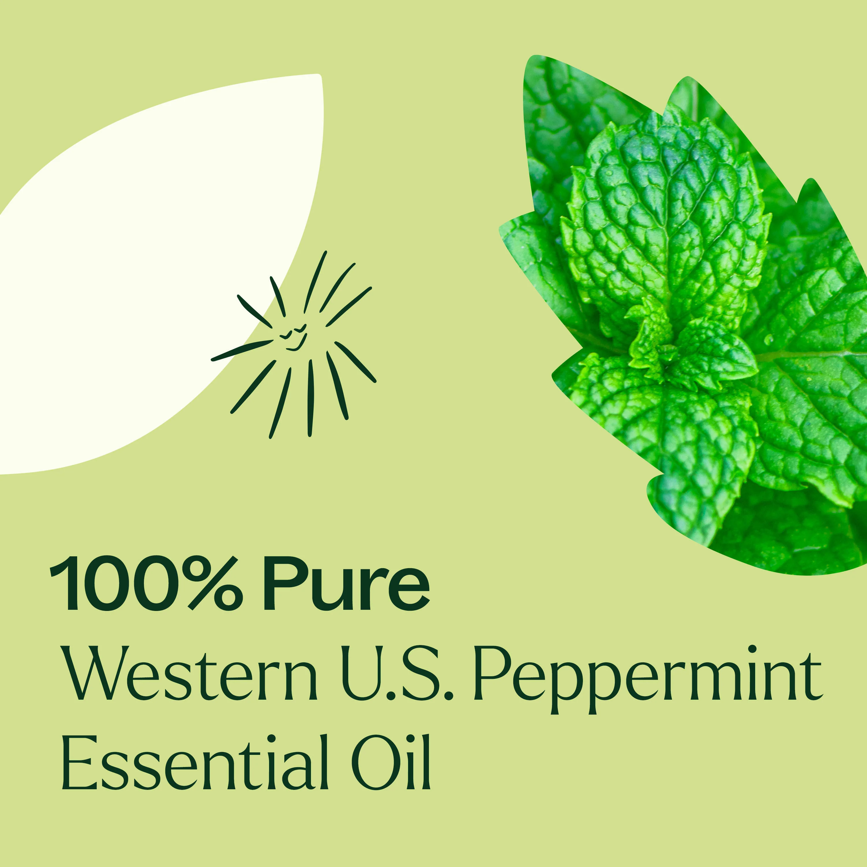 Western U.S. Peppermint Essential Oil - Image 4