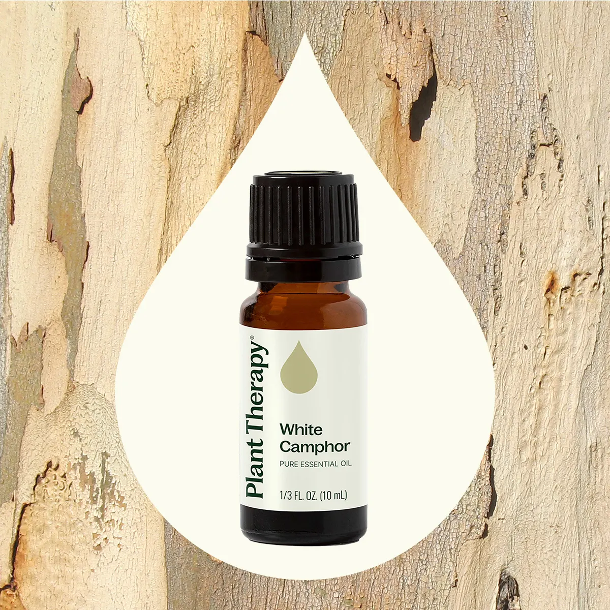 White Camphor Essential Oil - Image 2