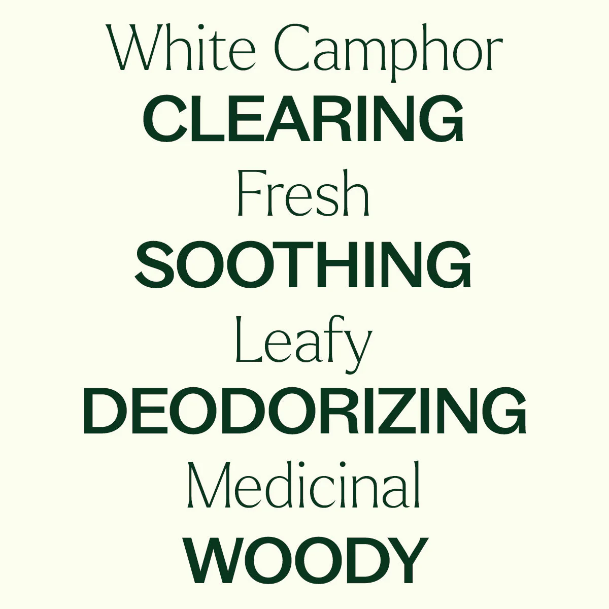 White Camphor Essential Oil - Image 4