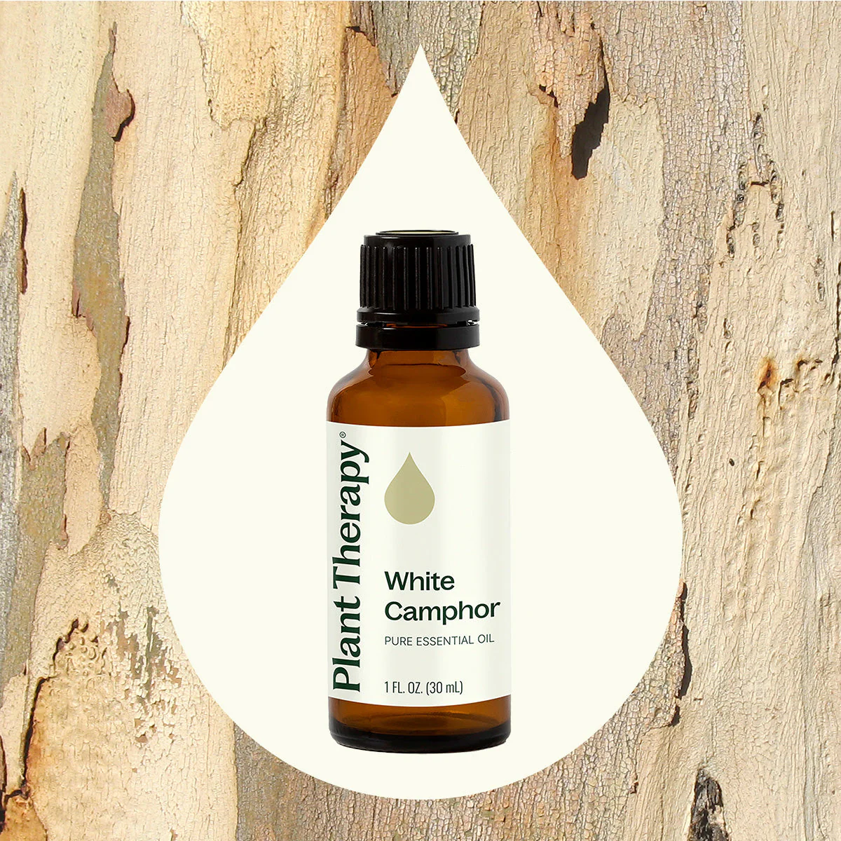 White Camphor Essential Oil - Image 8