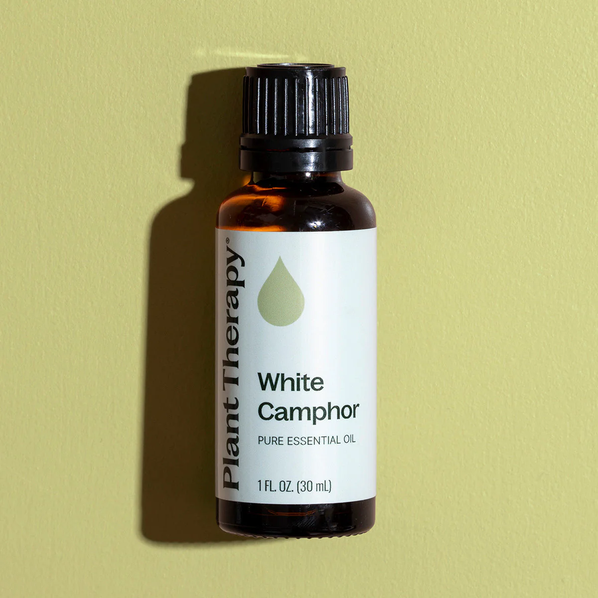 White Camphor Essential Oil - Image 9