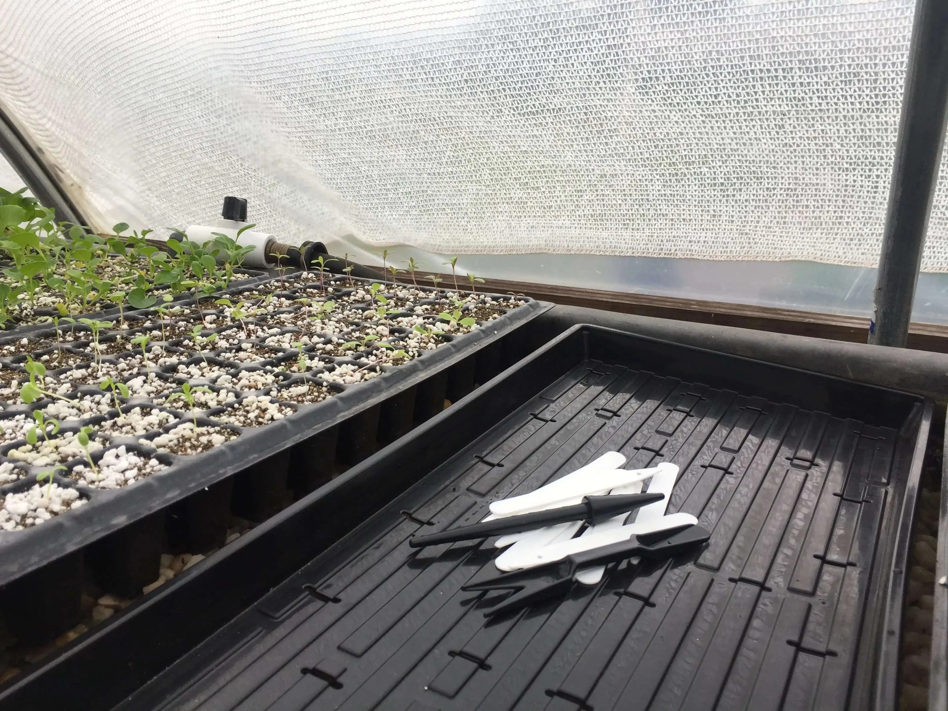 Widger Dibber Set - Image 2