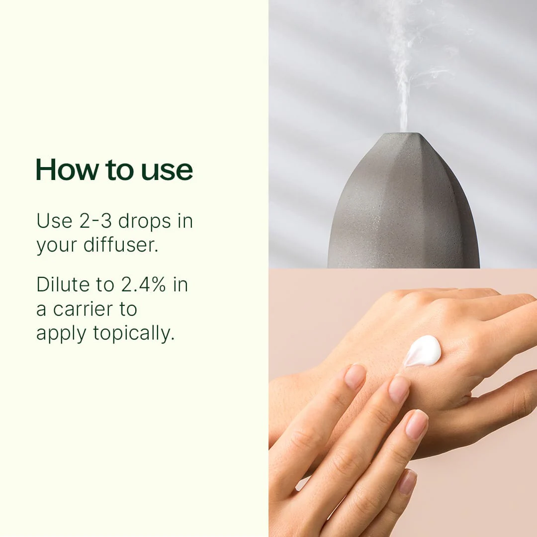 Wintergreen Essential Oil - Image 3