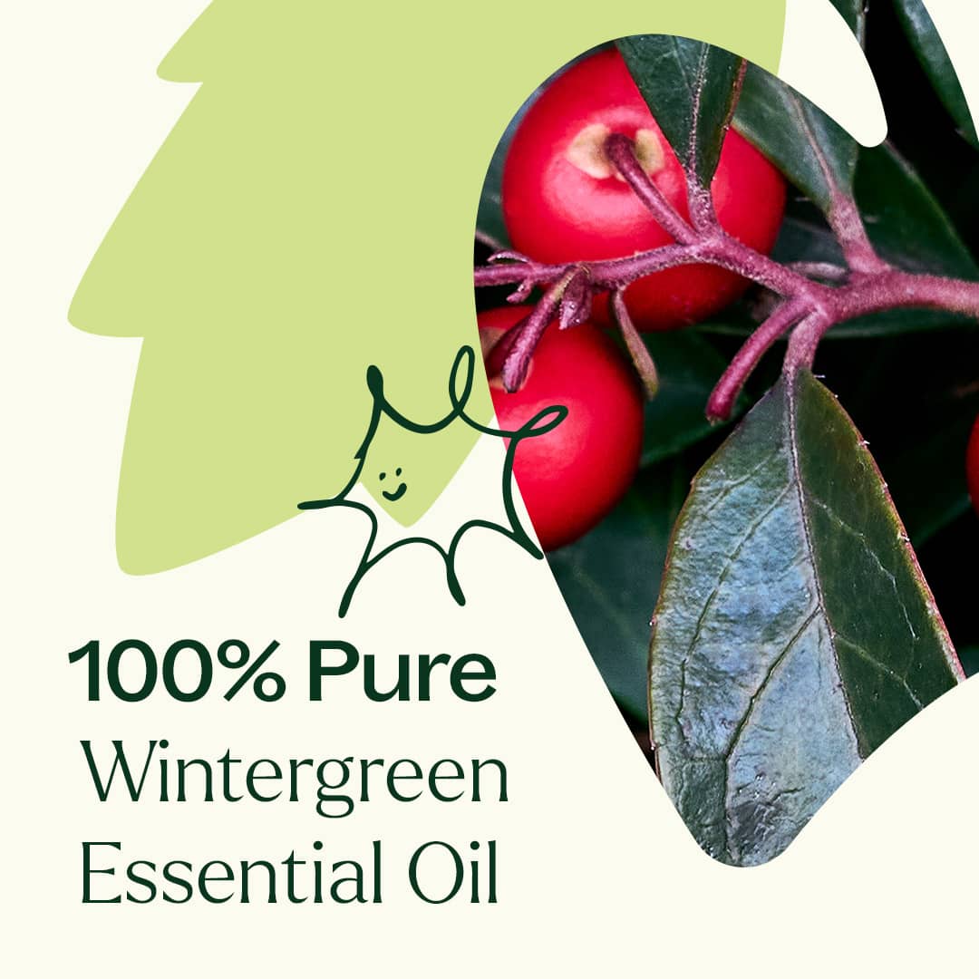Wintergreen Essential Oil - Image 4