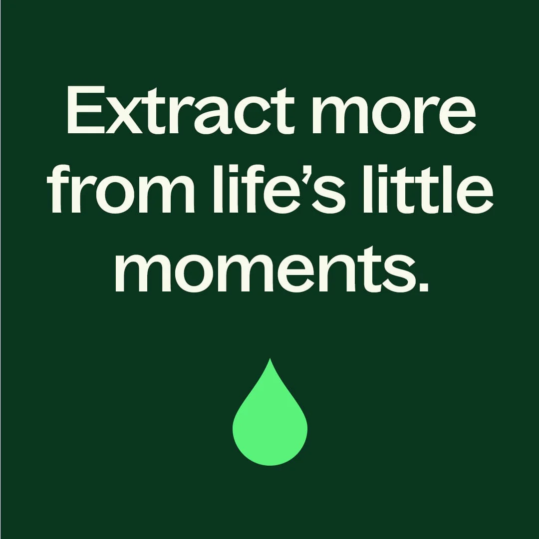 Wintergreen Essential Oil - Image 6
