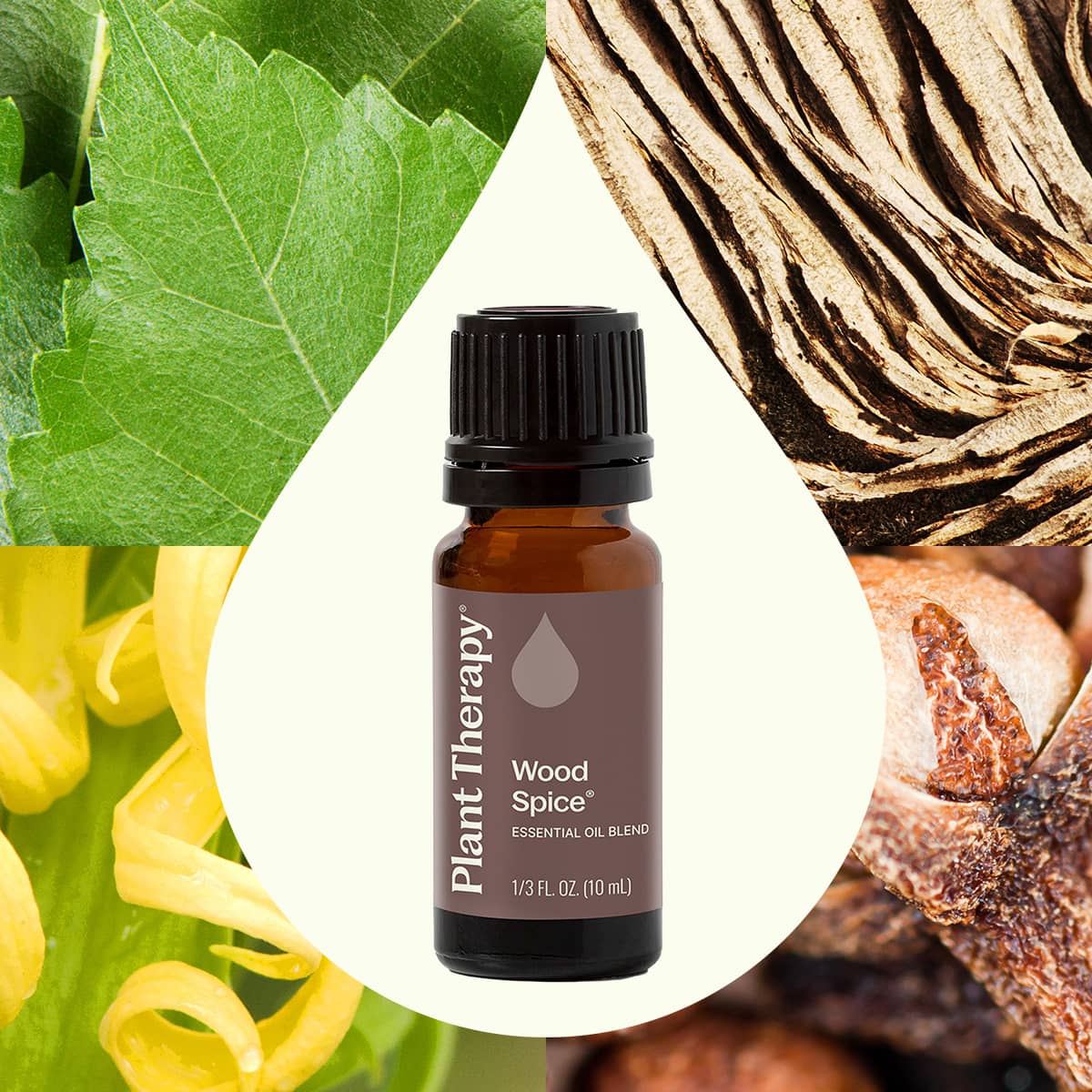 Wood Spice Essential Oil Blend - Image 2