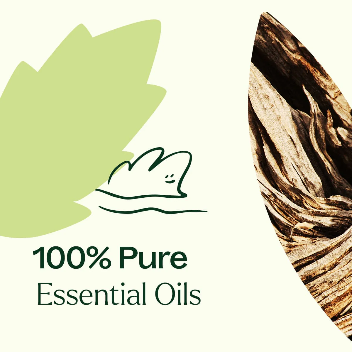 Wood Spice Essential Oil Blend - Image 7
