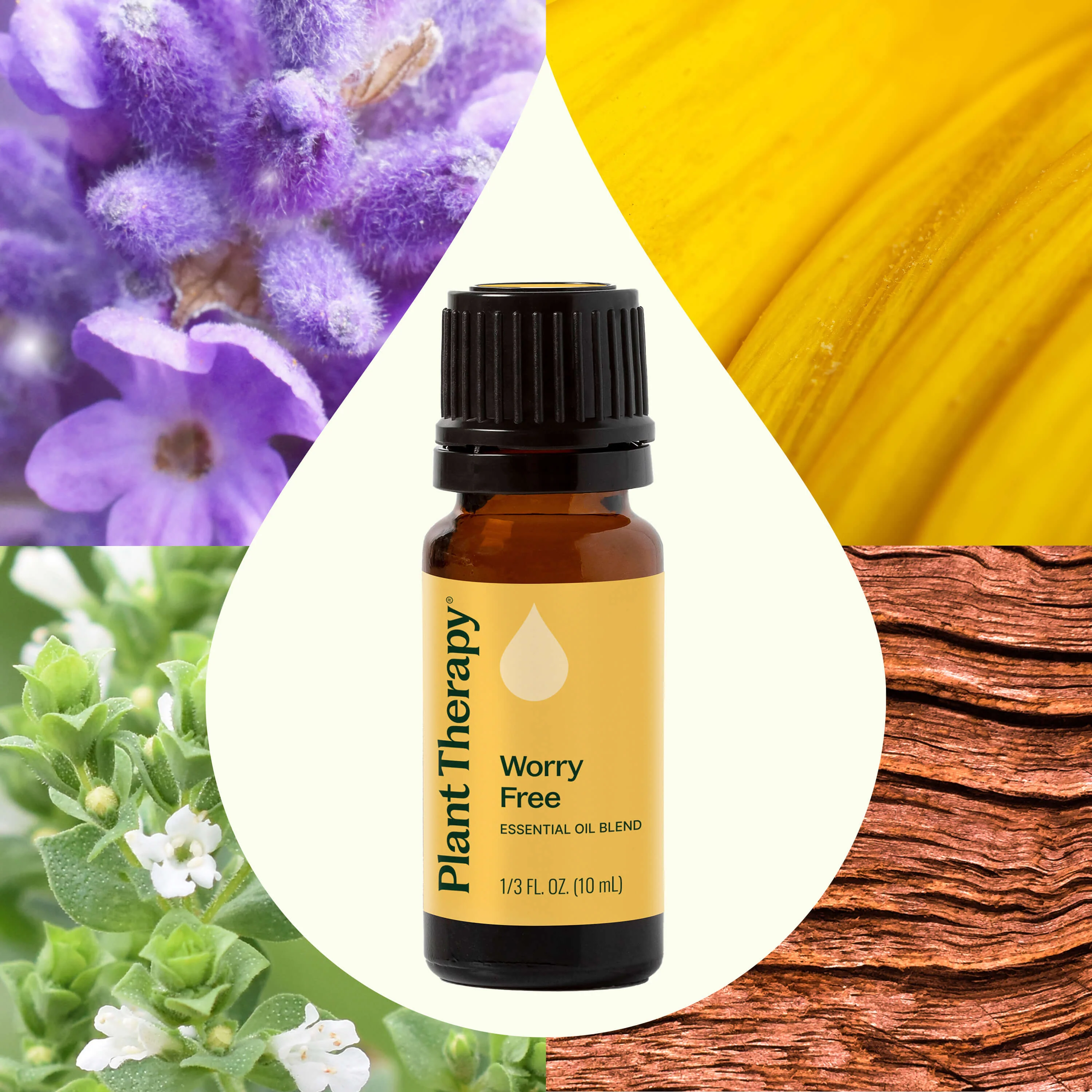 Worry Free Essential Oil Blend - Image 2