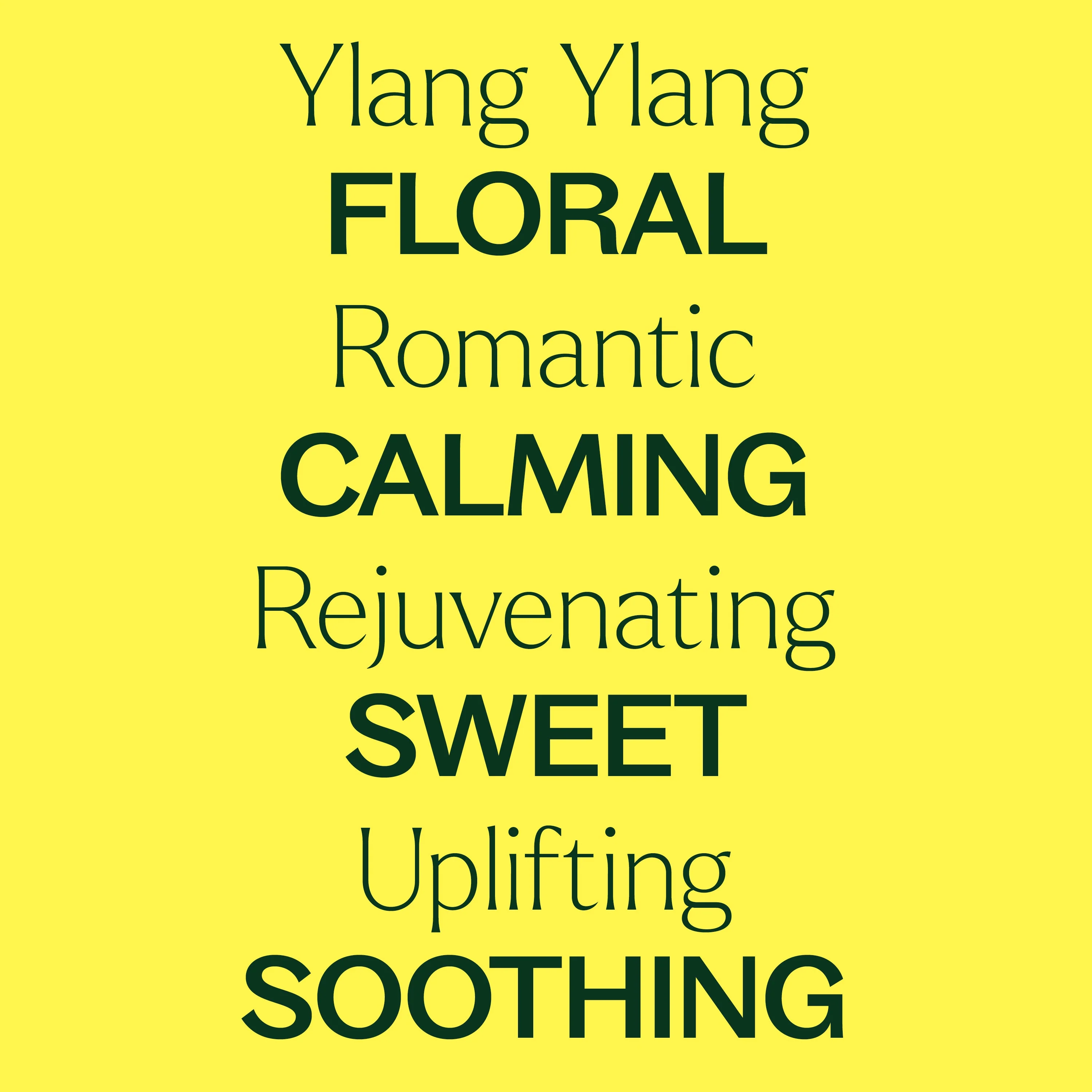 Ylang Ylang Complete Essential Oil - Image 5