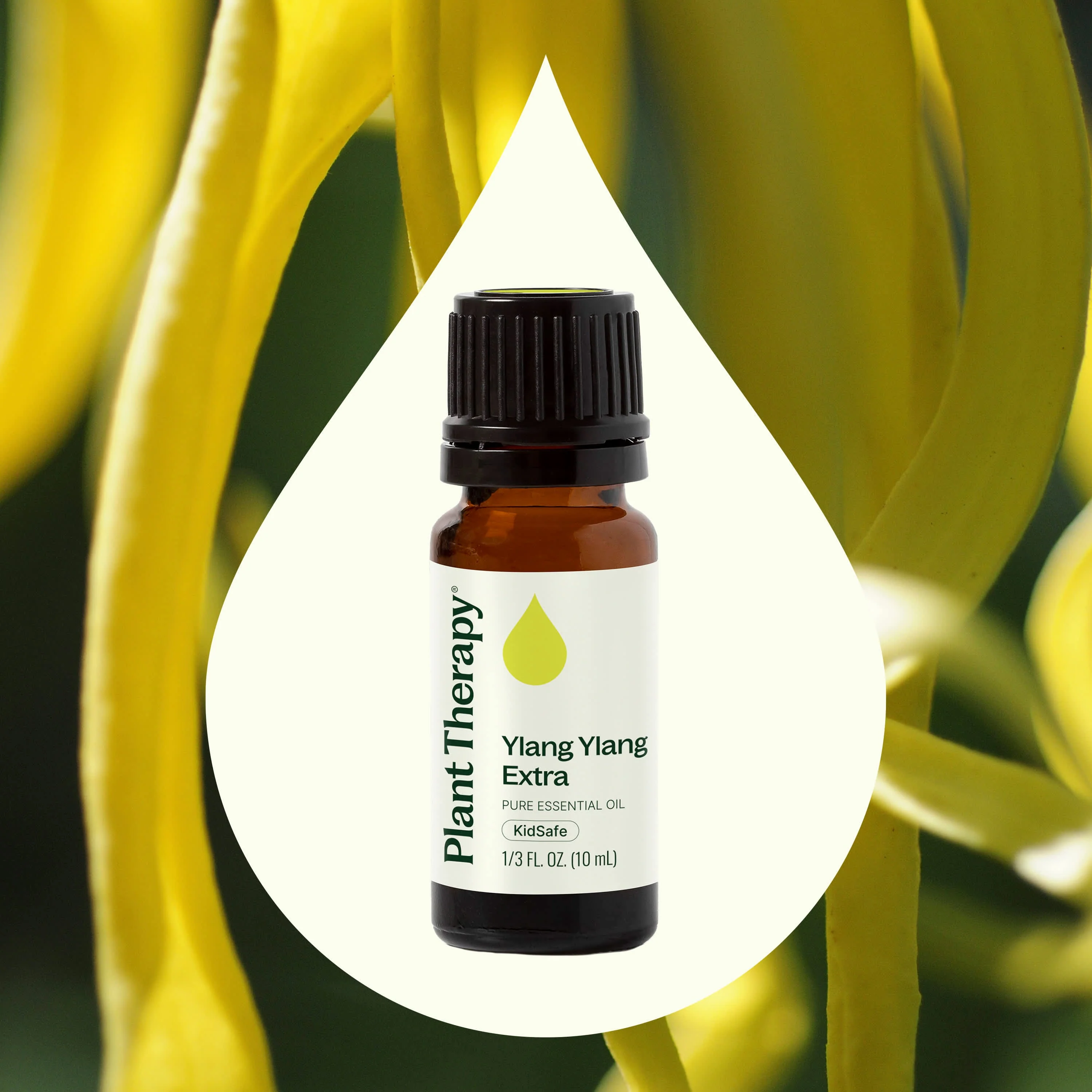 Ylang Ylang Extra Essential Oil - Image 2