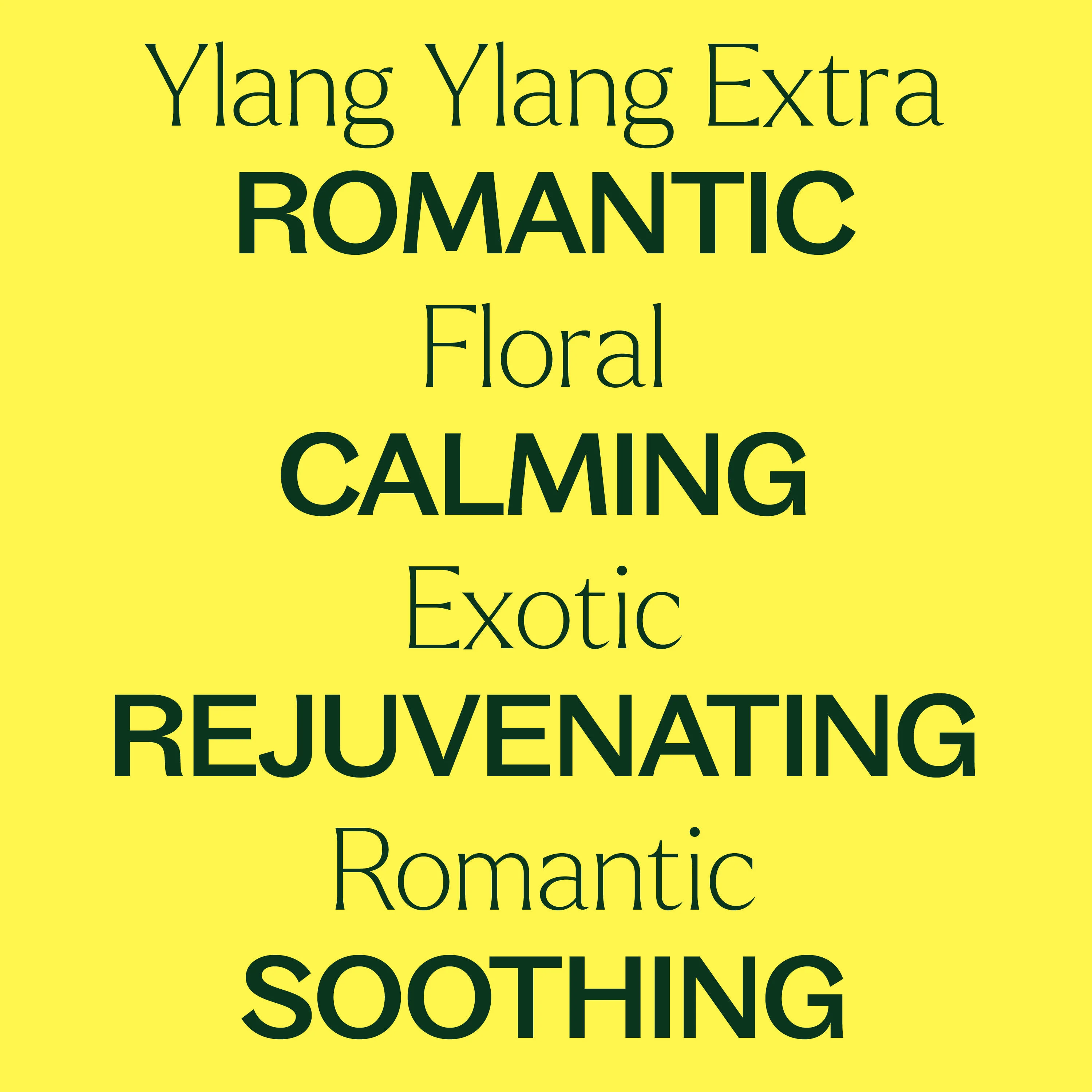 Ylang Ylang Extra Essential Oil - Image 5