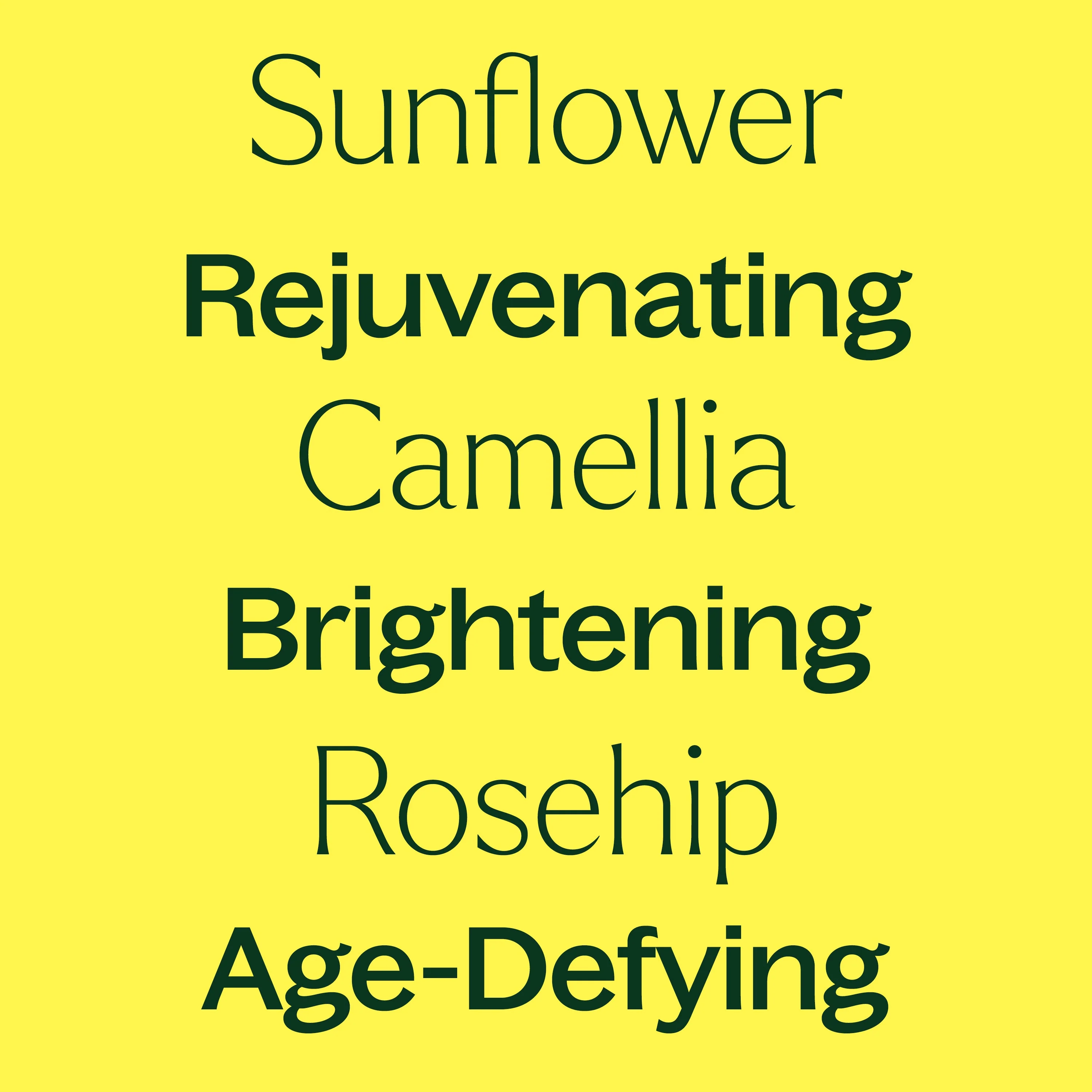 Younger Glo Facial Oil - Image 2